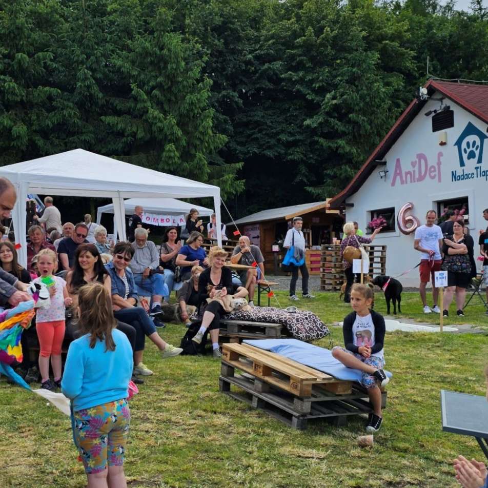 magie-pro-dobrocinne-ucely